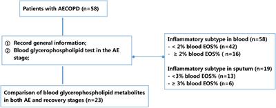 Serum Glycerophospholipid Profile in Acute Exacerbation of Chronic Obstructive Pulmonary Disease